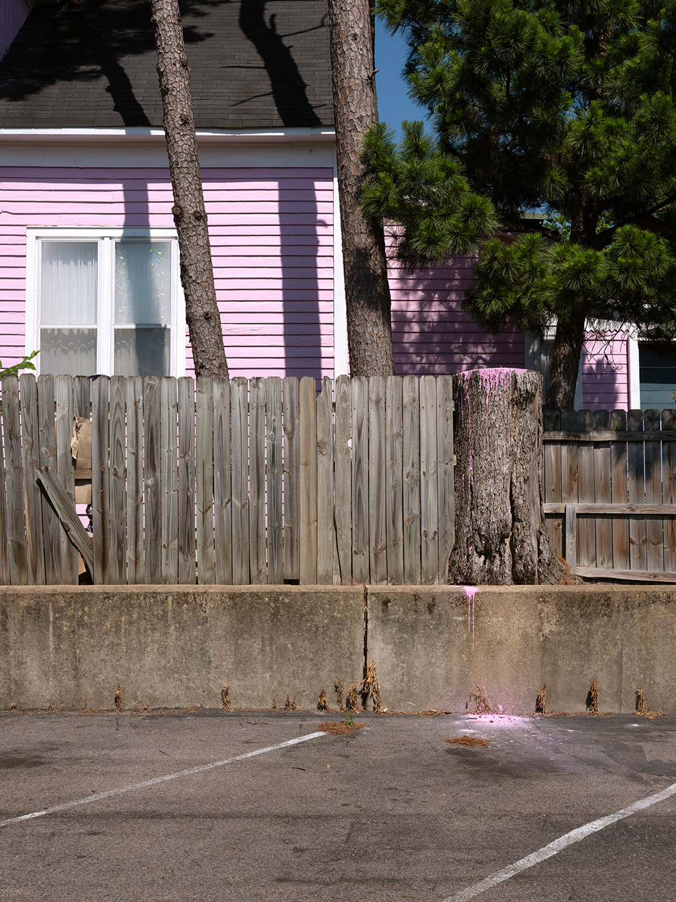 Fence
#0105
Memphis 2019
©AnjaConrad