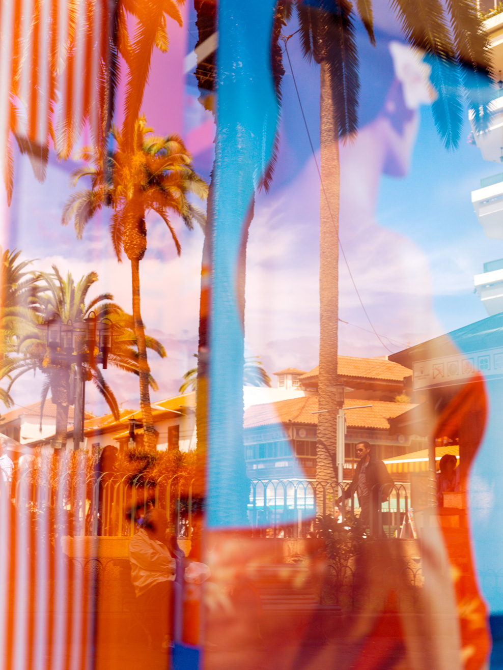 Palm Trees
#15428
Tenerife 2012
©AnjaConrad