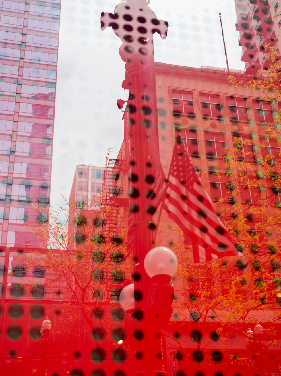 Shopwindow
#9431
Chicago 2019
©AnjaConrad
